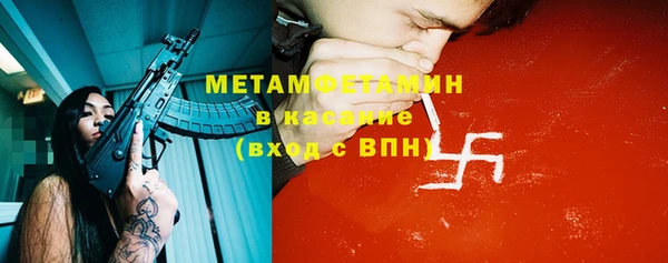 молекула духа Тайга
