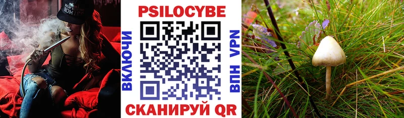 Псилоцибиновые грибы GOLDEN TEACHER  Велиж 